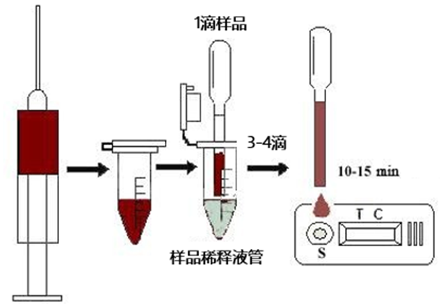 非洲豬瘟快速檢測(cè)卡使用操作